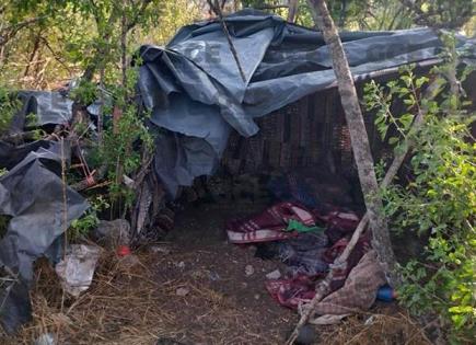 Desmantelan un campamento criminal