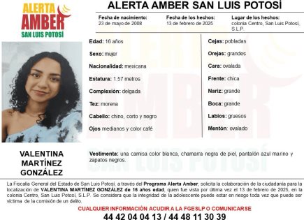 Activan Alerta Amber en SLP para localizar a adolescente desaparecida