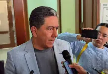 Analizaría Congreso prohibición de celulares en escuelas públicas y privadas