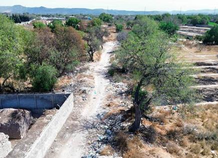 Calle Macedonio Castro, convertida en basurero Calle Macedonio Castro, convertida en basurero