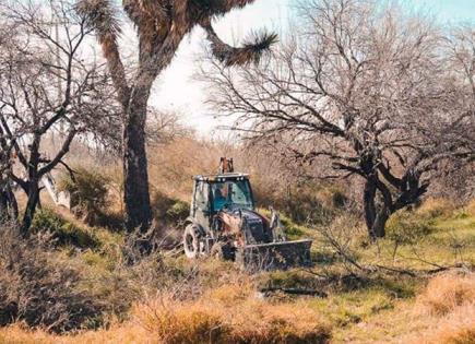 Inician campaña de limpieza del Bulevar Turístico Inician campaña de limpieza del Bulevar Turístico
