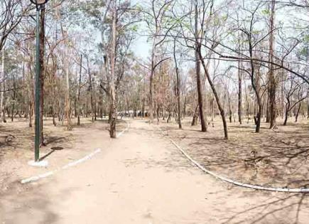 Más municipios con altos niveles de sequía Más municipios con altos niveles de sequía