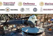 Aseguran 27 laboratorios de drogas sint&eacute;ticas en Sinaloa