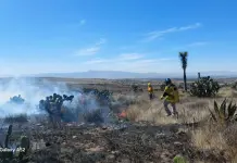 Sofocan incendio a un costado de carretera a Rioverde