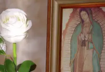 El Éxito Internacional de La Rosa de Guadalupe de Televisa El Éxito Internacional de La Rosa de Guadalupe de Televisa