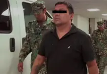 ¿El Z40 está amparado para cualquier extradición?