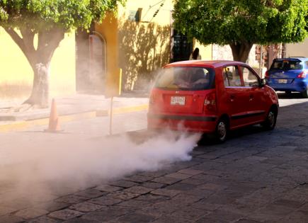 Foto del d&iacute;a | &iquest;Es de le&ntilde;a?