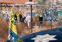 Realidad desmiente a Guadalupe Torres Realidad desmiente a Guadalupe Torres