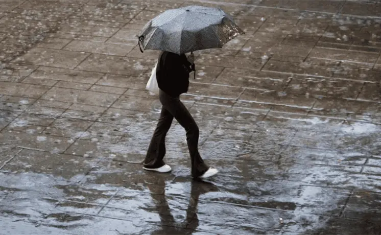 Frente frío 42 traerá viento y lluvias Frente frío 42 traerá viento y lluvias