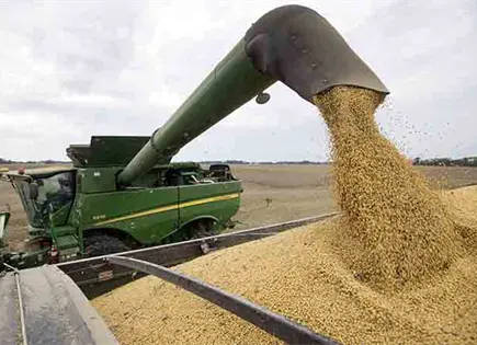 Secretar&iacute;a de Agricultura alerta por fraude a productores