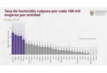 San Luis, s&eacute;ptimo en homicidios culposos de mujeres