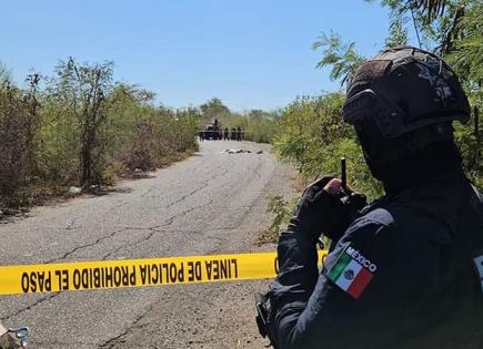 Suman ya 24 policías asesinados en Sinaloa