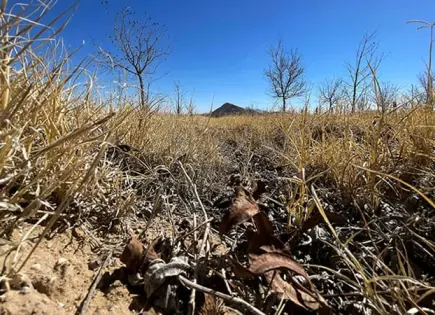 SLP, entre los estados con más municipios con sequía: Conagua