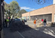 Video | Cae &aacute;rbol sobre veh&iacute;culo en Mariano Arista por fuertes vientos