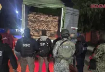 Detenido por transporte ilegal de productos maderables Detenido por transporte ilegal de productos maderables
