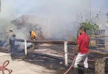 Incendios, caída de árboles y vidrios, el saldo de vientos en la capital