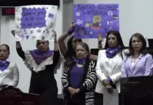 Lucha contra la violencia de género: Postura de las diputadas