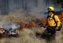 Puebla suma 261 incendios este 2025 Puebla suma 261 incendios este 2025
