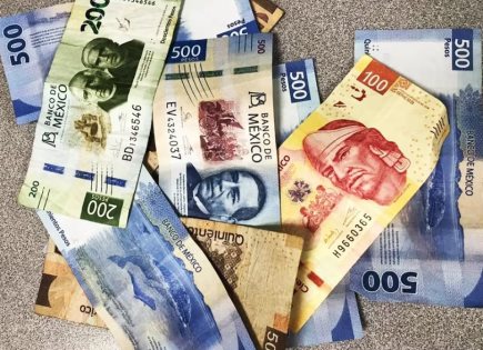 Análisis del Presupuesto de Egresos y la igualdad de género