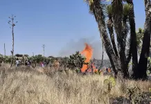 Video | Autoridades y voluntarios combaten incendio en Zaragoza