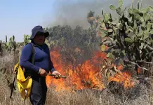 Incendio forestal azota a Zaragoza
