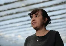 Accionar.ia, la primera plataforma de IA para proyectos sociales en México