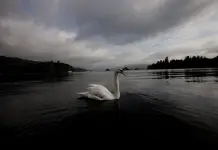 Reino Unido y la limpieza del emblemático lago Windermere Reino Unido y la limpieza del emblemático lago Windermere