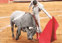 Revés para Morena: Desechan recurso contra iniciativa que prohíbe corridas de toros en CDMX