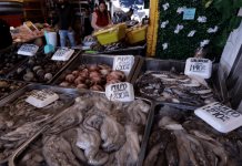 Aumento de precios en pescados y mariscos durante la Cuaresma Aumento de precios en pescados y mariscos durante la Cuaresma