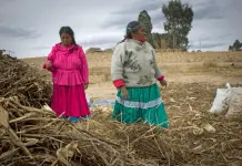 Sabiduría ancestral: el papel clave de los pueblos indígenas en la lucha contra el cambio climático