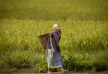 Elon Musk y la revolución de la conectividad en India