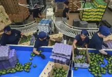 Impacto de los Aranceles de Trump en la Economía Global