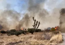 Video | Combaten nuevo incendio forestal en Zaragoza