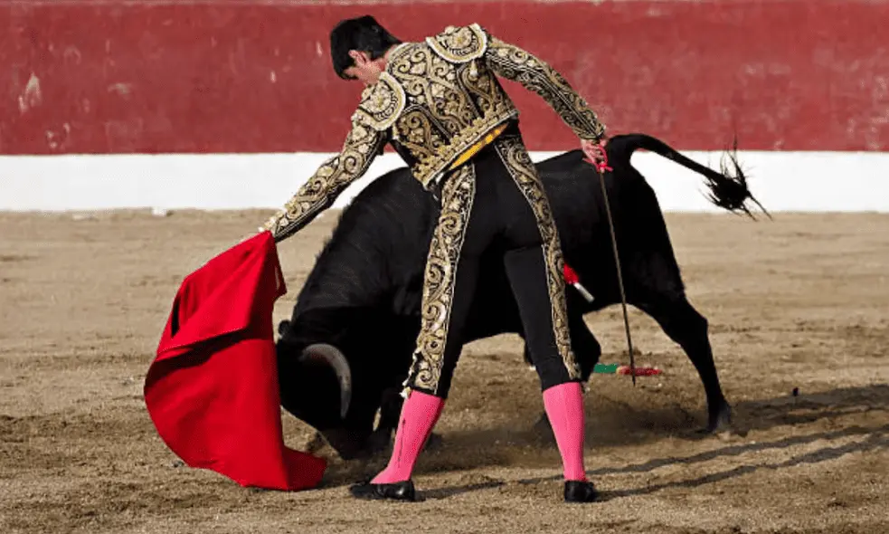 Juez ordena suspender corridas de toros en fiestas tradicionales