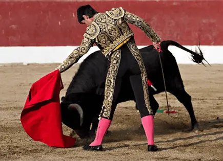 Juez ordena suspender corridas de toros en fiestas tradicionales