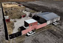 Hallazgos en el Rancho Izaguirre de Teuchitlán