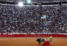 Defensa de las Corridas de Toros en México Defensa de las Corridas de Toros en México