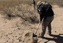 Conclusi&oacute;n de Inspecciones Forenses en El Willy