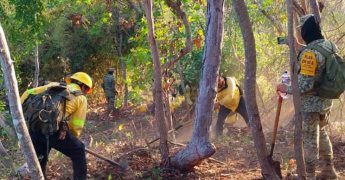 Incendios Forestales Activos en Oaxaca
