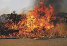 Este a&ntilde;o, m&aacute;s incendios que en 2024: Benavente