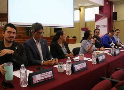 Difícil, estimar nivel de participación en elección judicial: Ramírez García