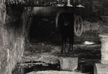 Identifican origen de filtración que contamina el Parque Tangamanga Identifican origen de filtración que contamina el Parque Tangamanga