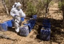 Desmantelamiento de laboratorios clandestinos en Sinaloa