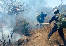 Activos, 10 incendios forestales en SLP: PC