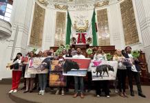 Proponen corridas de toros sin violencia, ahora en todo México Proponen corridas de toros sin violencia, ahora en todo México