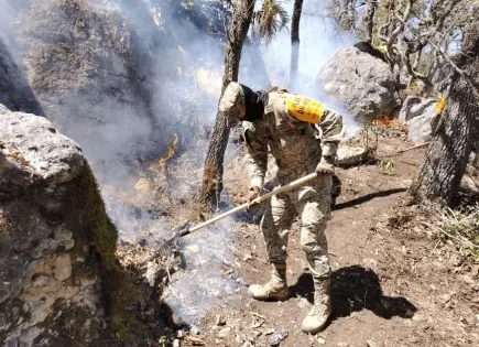 Mínimo, apoyo estatal en incendios: Conafor