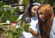 Cemex recibe reconocimiento internacional por proyectos de vida silvestre