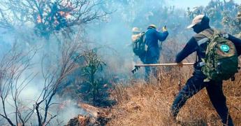 Combaten incendio en Piedra Parada