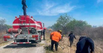 Controlan incendio forestal en Salitrillos