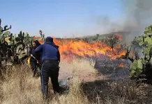 Fuego afecta a ecosistemas sensibles en SLP